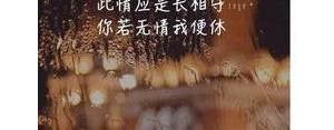 不爱表达的句子,不想表达的唯美短句？