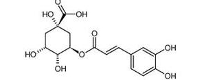变酸短语英文,10种酸的中英文名称？