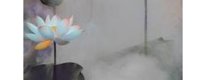 不污的句子,在世如莲，净心素雅，不污不垢，淡看浮华是什么意思？ ...