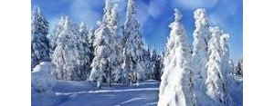 关于雪的拟人句子,用拟人描写雾凇？