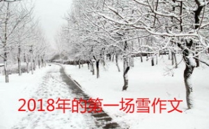 小学描写雪景的短句子,2021第一场雪朋友圈文案小学生？