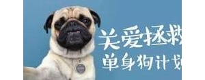 情人节文案搞笑短句子,情人节幽默句子？