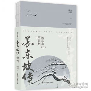 苏东坡传的优秀段落或句子点评,苏东坡传摘抄点评？