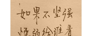 励志自己的句子初中,优美句子摘抄初中励志？