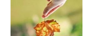 秋天浪漫励志的句子,秋日私语唯美句子正能量？