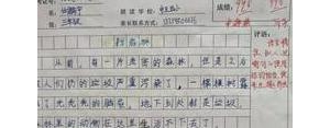 小白兔描写的句子,描写小白兔的一段话？