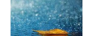 写雨声的句子,描写雨声的优美段落？