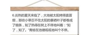 描写夏天下午的句子短句,描写下午炎热的句段？