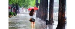 形容人被雨淋的句子,被大雨淋湿的外貌描写？