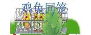 假设说明的句子,用作假设的说明方法造句？