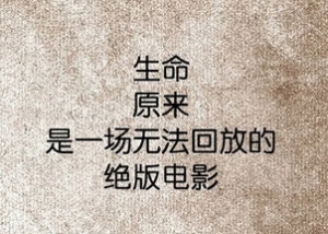 站在高处的句子,站在高处时的感慨句子？