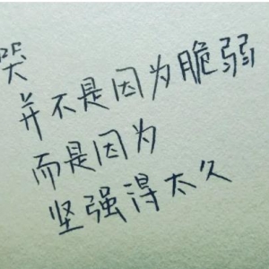 青春励志唯美短句，不负青春励志寄语唯美短句，少年努力未来可期的句子 ...