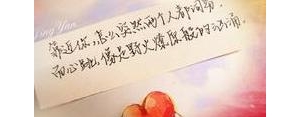 烟花菊文案短句,描写白菊花的句子和段落？