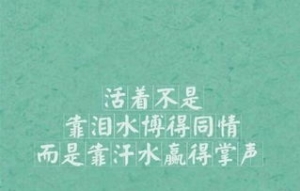 对偶励志短句说说,奋斗的人生对偶句？