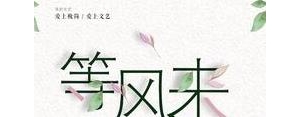 关于等风来的唯美句子,等风来的唯美句子？