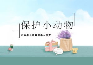 关心当空气的句子,用环境描写烘托心情的句子大全？
