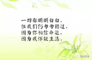 描写夏天十字短句,描写夏天的短句子5至10字？