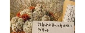 可爱的喜欢句子,元气满满可爱表达爱意文案短句？