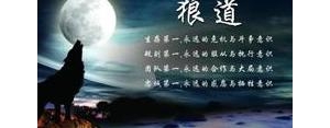 狼若回头的唯美句子,狼若有回头励志句子？