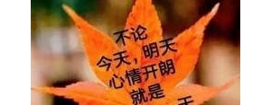 秋天祝福短语,秋天祝福语简短霸气？