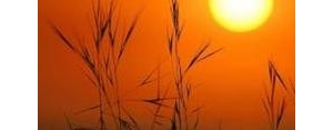 形容夕阳唯美短句,关于夕阳的唯美句子？