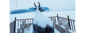 赞美瑞雪的句子,形容瑞雪兆丰年唯美句子？
