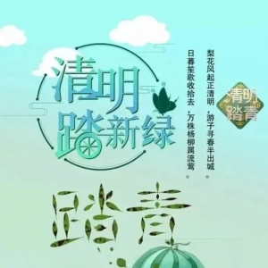 清明节发说说短句,清明花开的心情说说？
