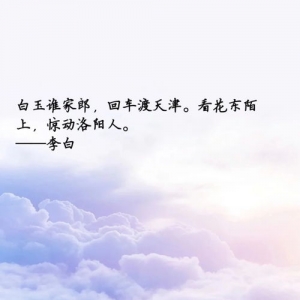 伤感的唯美的古风句子,伤感诗句唯美古风适合男子的？