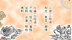 魄的句子,随神往来者谓之魂译文？