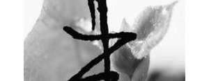 韦的句子,我姓韦的专属句子霸气？