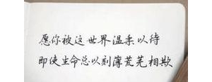 不用羡慕别人自己亦是风景短句,形容与世无争独自绽放的句子？ ...