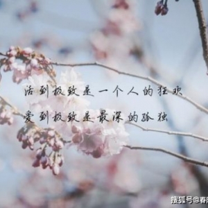酸了的短句,形容酸的句子有哪些？