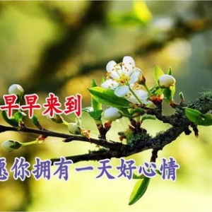 早上好问候老婆语温馨短句,安慰媳妇下班晚的高情商句子？