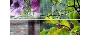 夏天的雨是什么它一来仿写句子?夏天的雨是洗衣机它一来造句？ ...