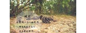 渐渐明白的句子,人不惜而散的伤感句子？