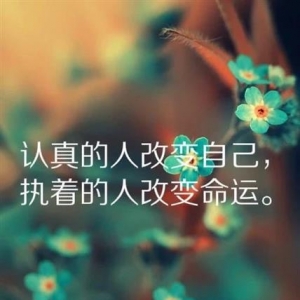 坚持的句子,关于坚持努力唯美句子？