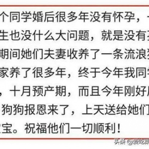 做损事遭报应的句子,没有好处什么意思？