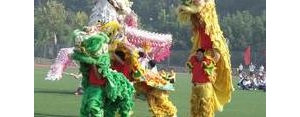 形容舞龙的句子,描写舞龙舞狮的句子有什么？