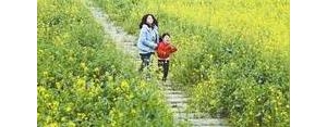 发踏春的句子,关于踏春的句子？