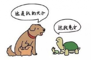 描写紧张的句子短句四年级,添油加醋挑拨离间的句子？