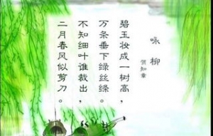 春天有关的句子和古诗,像春天的诗句有？