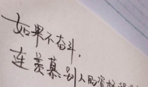 爱老婆的句子十个字,爱老婆的精辟句子20字？