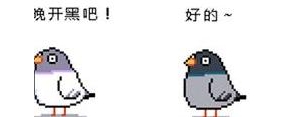 短句鸽子表情,鸽子在窗台的句子