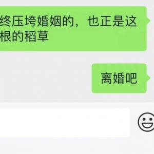 离婚和出轨的句子,为什么和你离婚的说说？