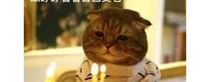 生日发朋友圈短句搞笑,自己生日说说心情短语搞笑幽默怎么发到朋友圈？ ...