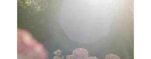描写花的句子春天,描写春天花开的优美句子？