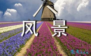 形容山里风景优美宁静恬静的句子,绿色大山的风景很美句子？ ...