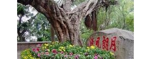 福州旅游的句子,福州旅游文案？