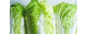 形容白菜的句子,形容白菜长得好的句子？