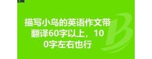 公园里有一些鸟妈的英语句子,用英语表达在公园里有几百只鸟？ ...